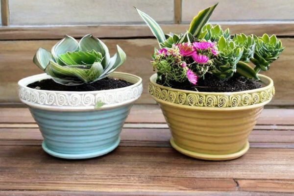 Vasos Decorativos para Plantas